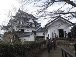 IMG_0919