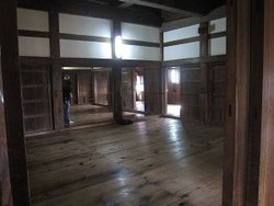 IMG_0931