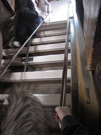 IMG_0935