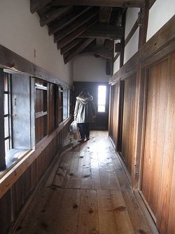 IMG_0937