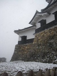 IMG_0951