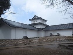 IMG_0955