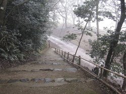 IMG_0970