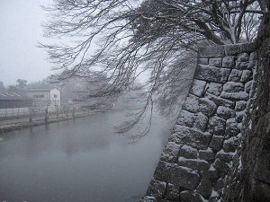 IMG_0977
