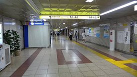 P1020472.JPG