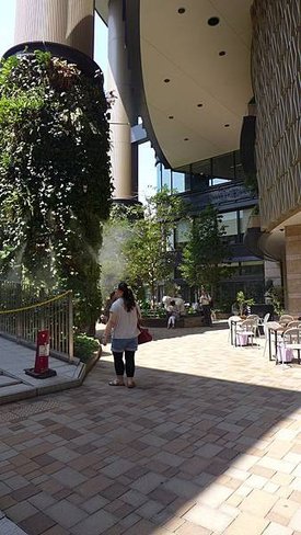 P1020509.JPG