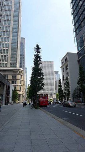 P1020534.JPG
