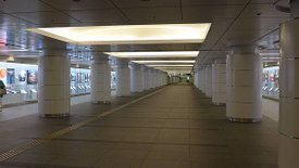 P1020551.JPG