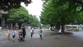 P1020761.JPG