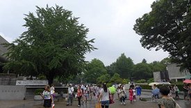 P1020762.JPG