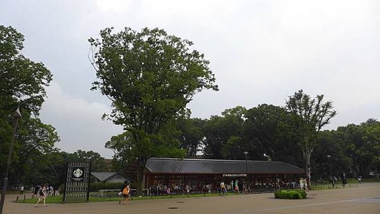 P1020767.JPG