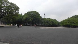 P1020776.JPG