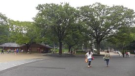 P1020777.JPG