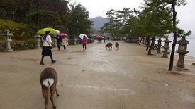 P1150908-2048.jpg