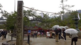P1150916-2048.jpg