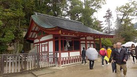 P1150917-2048.jpg