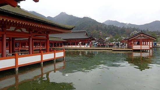 P1150925-2048.jpg