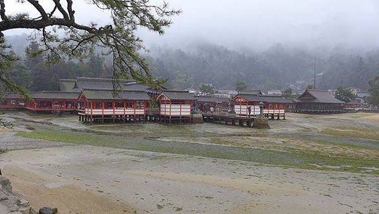 P1160090-2048.jpg