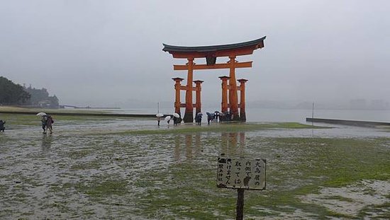 P1160096-2048.jpg