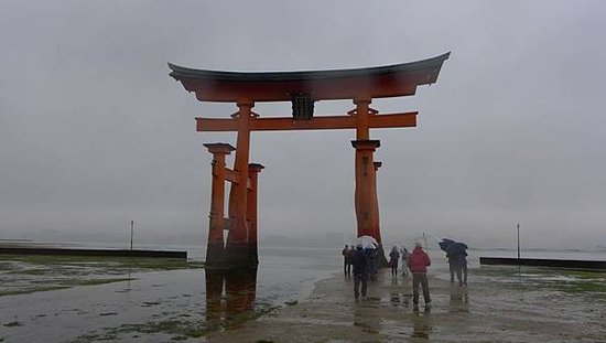 P1160101-2048.jpg