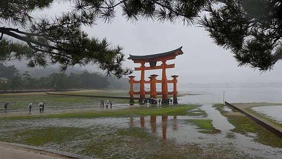 P1160116-2048.jpg