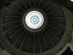 IMG_1381