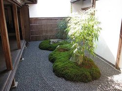 IMG_1185
