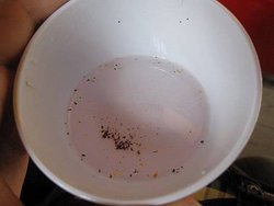 IMG_1221