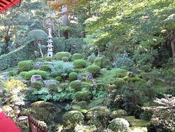 IMG_1190