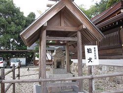 IMG_0720