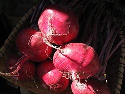 IMG_1177