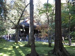 IMG_1233
