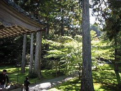 IMG_1202