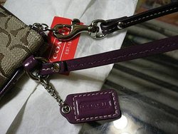 P1130397