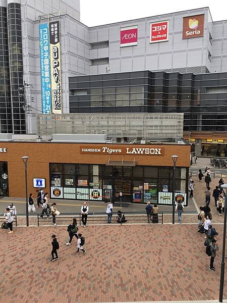 2024春假大阪野球行