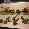 DSCF1993