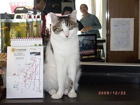 IMGP0676.jpg