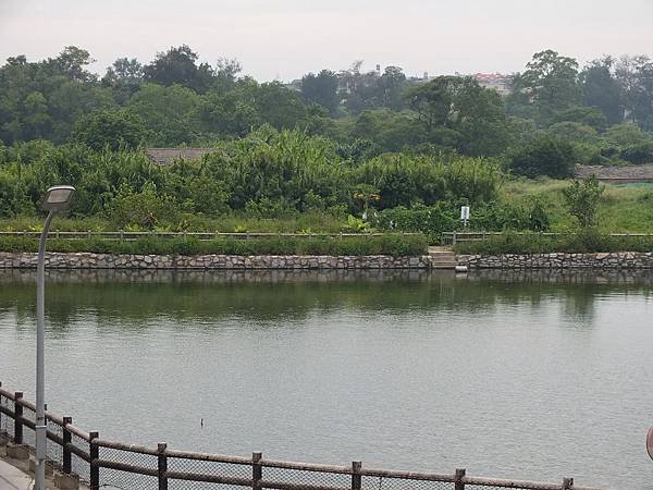 DSCF4194
