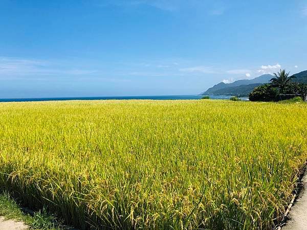 台灣花蓮套裝行程客製化，花蓮包棟民宿，花蓮自由行旅遊，台灣花