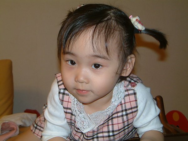 照片 152790.jpg
