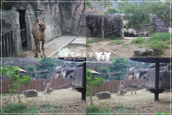 壽山動物園