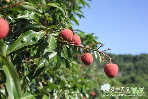 水底寮