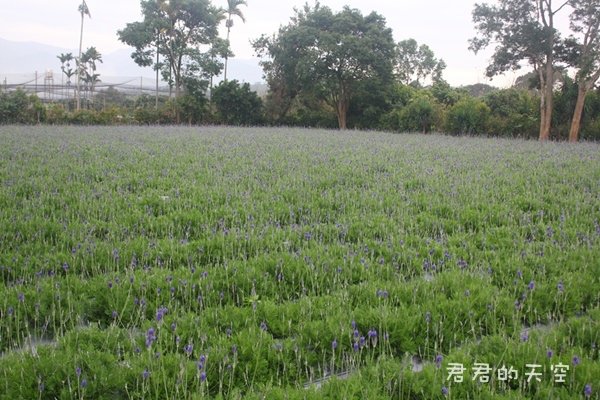 花露休閒農場