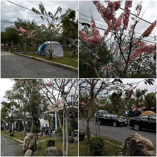 和華園露營趣