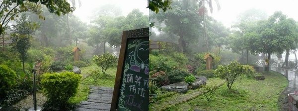 香草森林