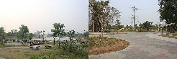 衛武營都會公園