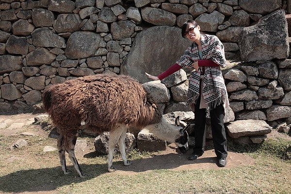 100816MachuPicchu187.jpg-1.jpg