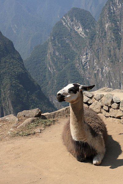 100816MachuPicchu183.jpg-1.jpg