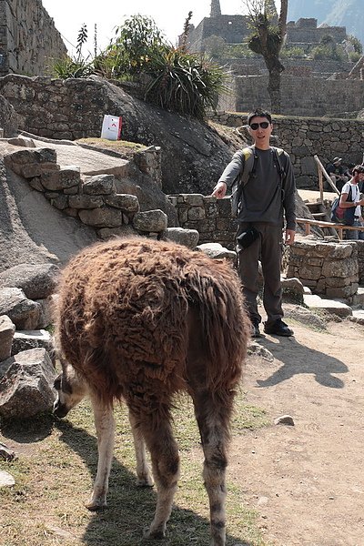 100816MachuPicchu184.jpg-1.jpg