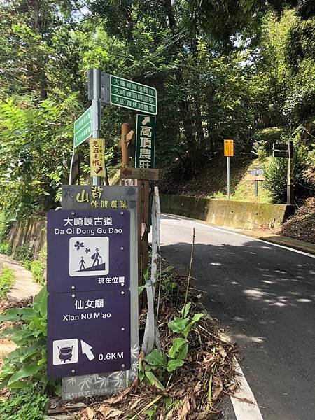 [登山-親民路線] 大崎棟古道 2023森游竹縣 尋寶任務